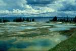 1997 im Yellowstone National Park verschiedene  Hot Springs  fast am Ufer des Yellowstone Lake
