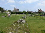 Klostergarten mit Klosterruine der Shaftesbury Abbey, Dorset (11.05.2024)