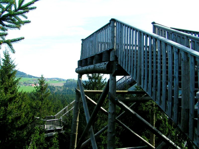 Treppauf,Treppab von Aussichtsplateau zu Ausichtsplateau, gewhrt tw. himmlische Aussichten beim Baumkronenweg in Kopfing; 080428