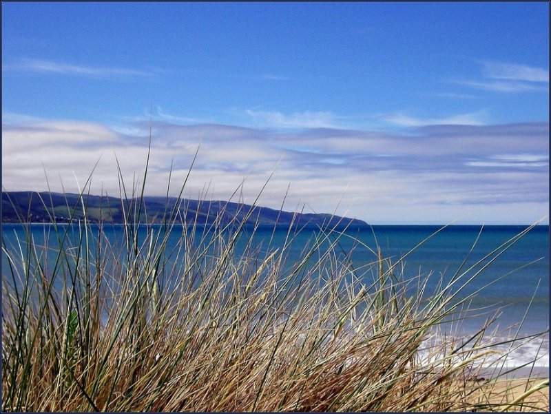 Australien - an der Ostk�ste in H�he der Great Ocean