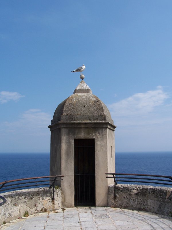 H�uschen mit M�we in Monaco in der N�he des Aquariums.
Aufgenommen