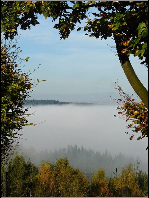 Whrend das Tal noch im Nebel liegt, scheint auf der Anhhe in der Nhe von Roullingen schon die Sonne. 18.10.08 (Jeanny)