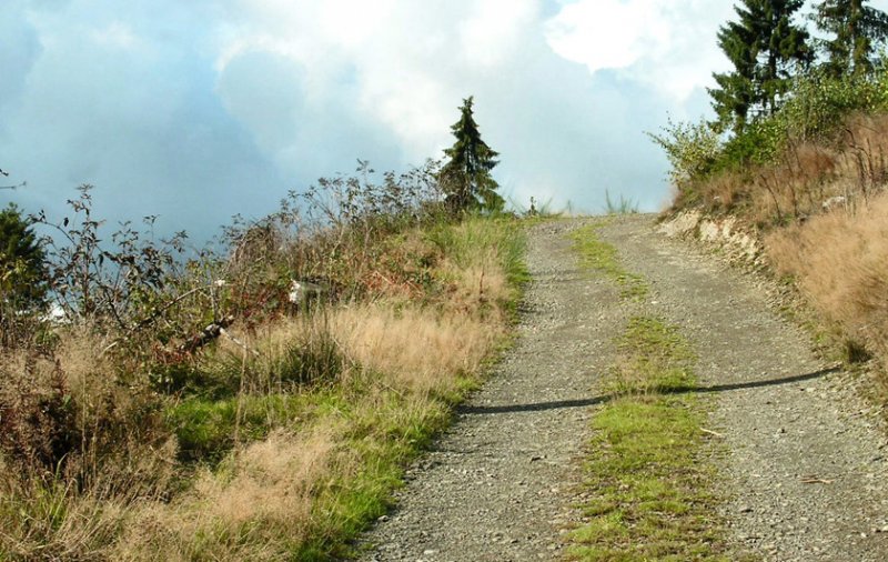 ....Wanderweg im Sauerland nahe L�denscheid  