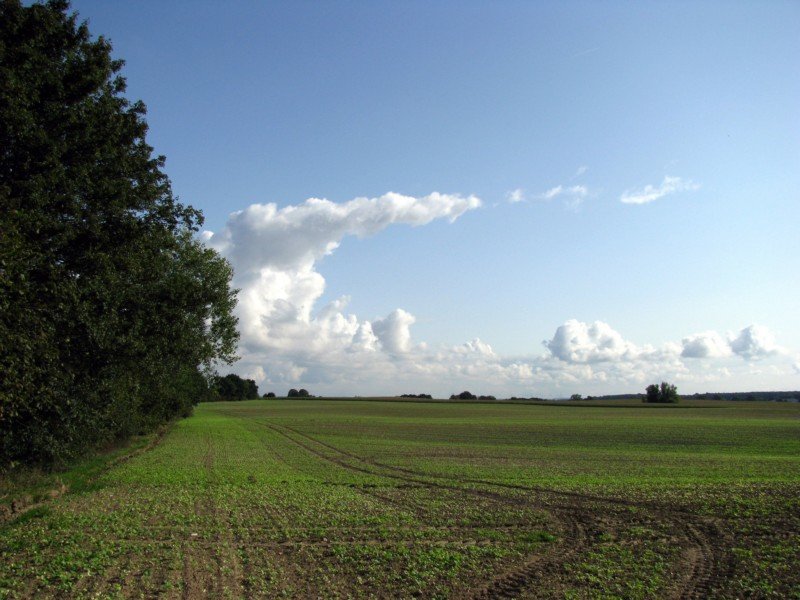 Wetterbild aus dem Winkel Strohkirchen - Jeese - Hanshagen, 18.09.2008