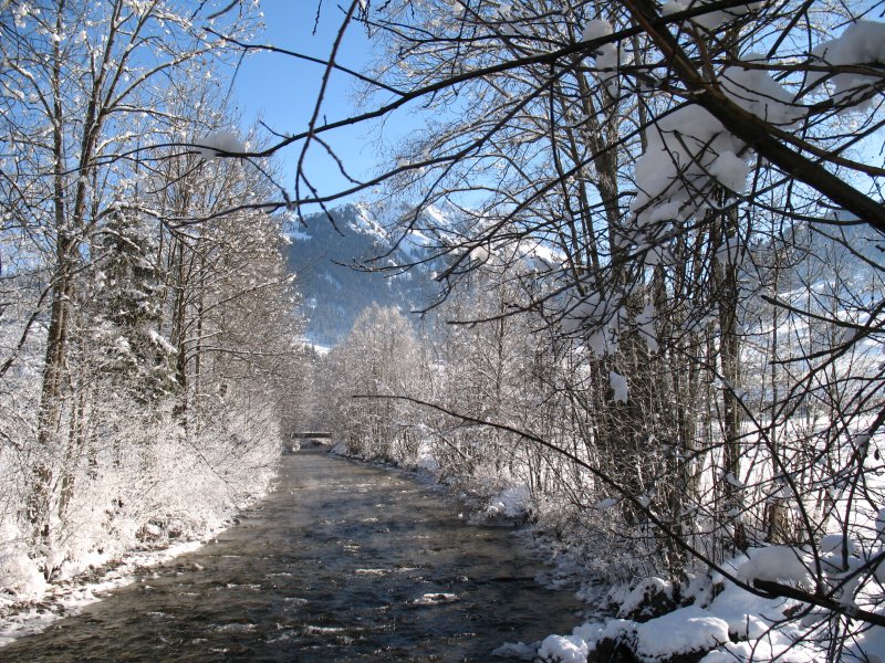 Winterstimmung bei Gstaad.
Bei genauem Hinsehen entdeckt man den Dampf ber dem Wasser.
(Dezember2007)