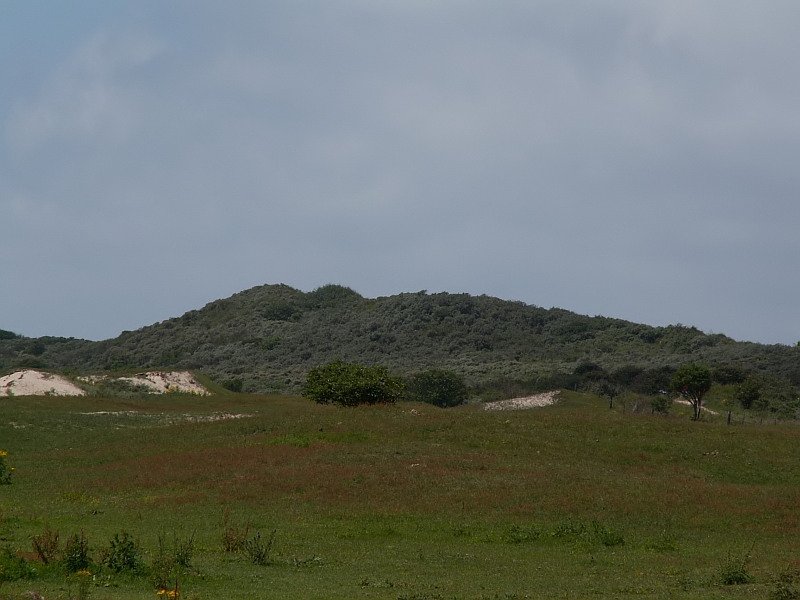 Blick, von der Landseite her, �ber die D�nenlandschaft in der