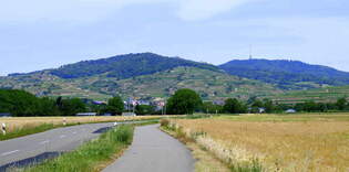 Blick von Sden auf den Kaiserstuhl mit dem Weinort Ihringen im Vordergrund, Juni 2023