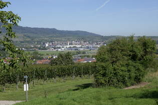 Blick vom Tuniberg bei Gottenheim zum Kaiserstuhl mit dem Ort Btzingen, Sept.2023