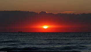 Kaum aufgegangen, schon wieder abgetaucht: Sonnenaufgang mit schmalem Wolkenband ber dem Schwarzen Meer in Mamaia im Norden von Constanța (RO).