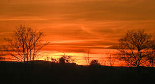 Sonnenuntergang - Abendstimmung in der Eifel - 30.12.2024