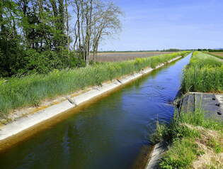 Oberelsa, der Hardtkanal dient zur Bewsserung der Landwirtschaft, Mai 2025