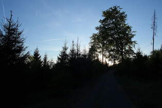Nach Sonnenuntergang auf der Hahnenkleer Waldstrae; Aufnahme vom Abend des 11.