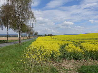 Felder bei Esbeck im Saaletal, Lkr.