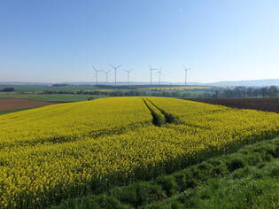 Felder im Ambergau bei Bornum, Lkr.