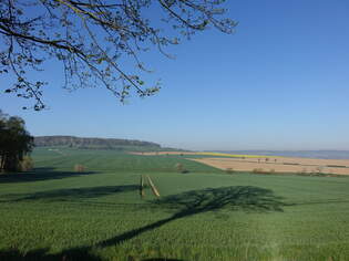Leinebergland bei Evensen, Lkr.