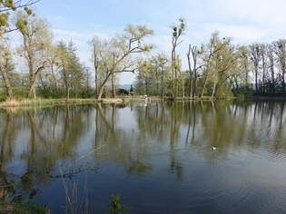 Klosterteich am Kloster Marienrode, Lkr.