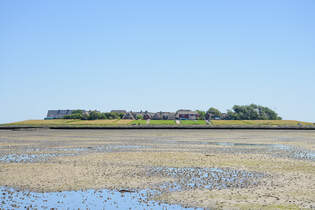 Die Watt vor der Hallig Oland in Nordfriesland.