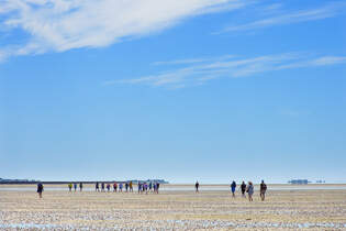 Die Watt zwischen Dagebll und der Hallig Oland in Nordfriesland.