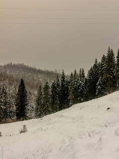 Verschneite Karpatenwlder / Wolowetz, Ukraine / 07.02.2025