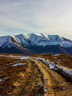 Der Berg Stoy (1685 m) im Schnee / Wolowetz, Ukraine / 07.02.2025