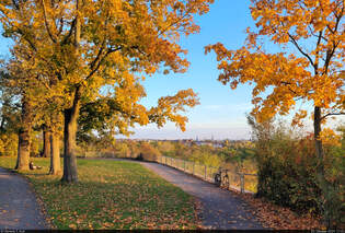 Balkon mit Ausblick und bunten Bumen: am Heinrich-Heine-Felsen in Halle (Saale).