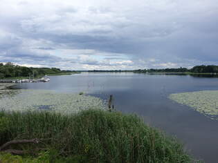 Hohennauener-Ferchesarer See bei Hohennauen, Havelland (07.07.2025)