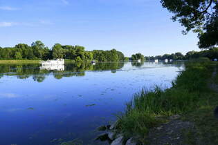 Blick von der Rheininsel bei Kappel-Rhinau ber den Altrhein am Abend, Juli 2025