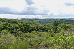 Blick von einem Wanderweg nahe Kaundorf (L), ber die Waldbedeckte Hgelige Landschaft.