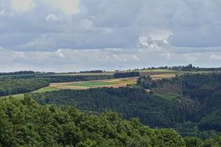 Blick von einem Wanderweg nahe Kaundorf (L), ber die Hgelige Landschaft in Richtung Eschdorf, an vielen Stellen sind die abgestorbenen Fichten in den Wldern zu sehen.