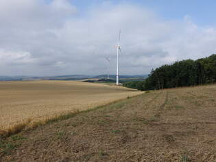 Felder und Windrder bei Lauschied, Nahe Tal (26.07.2025)