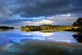 Abendstimmung in der Schrenlandschaft bei Gunnars sdlich von Oskarshamn (Smland, Schweden).