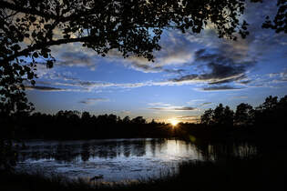 Abendstimmung in der Schrenlandschaft bei Kksholm sdlich von Oskarshamn.
