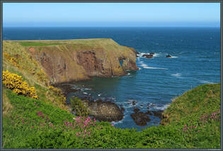 Steilkste bei Stonehaven im Osten Schottlands.