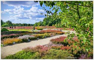 Der Heidegarten Schneverdingen Ende September 2025.