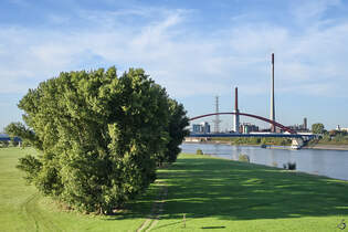 Blick von der Duisburg-Hochfelder Eisenbahnbrcke auf die Rheinwiesen bei Rheinhausen.