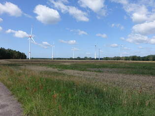 Wiesen und Windrder bei Angern, Lkr.