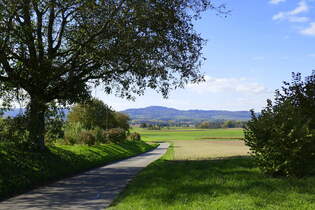 Blick vom Marchhgel bei Holzhausen zum Kaiserstuhl, Okt.2025
