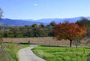 Blick vom Marchhgel im Breisgau zum Schwarzwald, Okt.2025