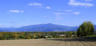 Blick vom Marchhgel zm 1284m hohen Kandel im mittleren Schwarzwald, Okt.2025