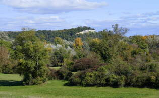 Blick vom Rheindamm ber die herbstlichen Auenwlder zum 272m hohen Limberg bei Sasbach am Kaiserstuhl, Okt.2025