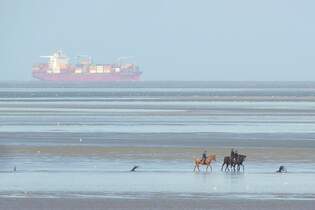 Reiter im Wattenmeer am 15.09.2025.
