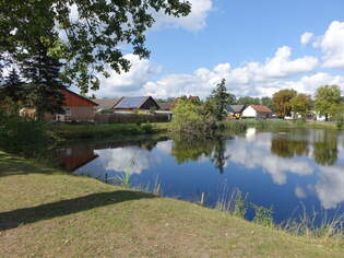 Teich in Kasel-Golzig, Brandenburg (08.09.2025)