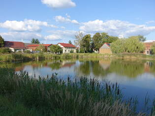 Dorfteich von Wahlsdorf, Landkreis Teltow-Flming (08.09.2025)