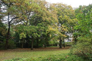 Weiterer Ausblick in Warnemnde am 15.