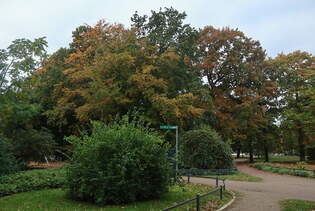 Weiterer Blick auf wichtigen Wegweiser im Kurpark in Warnemnde am 15.