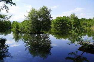 Ungersheim im Oberelsa, Parklandschaft auf dem Gebiet des ECO-Museums, Mai 2025