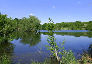 Ungersheim, Parklandschaft auf dem Gebiet des ECO-Museums, Mai 2025