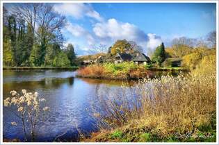 Der Fintausee in Lauenbrck, Heiderandgebiet im November 2023.