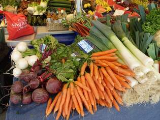 Impressionen des Frhjahres.