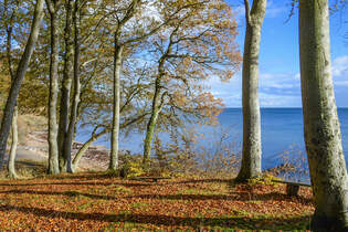 Aussicht ber den Kleinen Belt vom Tormajvej bei Tormaj Strand sdlich von Haderslev (deutsch Hadersleben) in Nordschleswig.